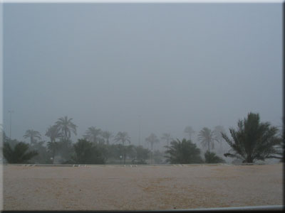 So einen Regensturm hatten wir nur auf Jamaica erlebt